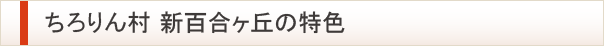 ちろりん村 新百合ヶ丘の特色