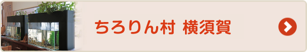 ちろりん村 横須賀